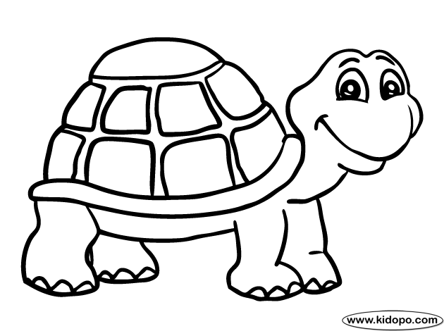 630x470 Turtle Coloring Sheet Drawn Turtle Coloring Page Pencil And