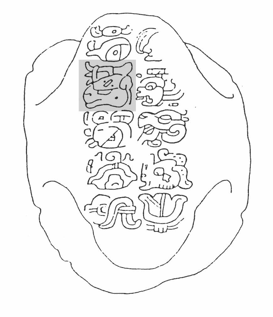 870x1008 Report An Earful Of Glyphs From Guatemala Maya Decipherment