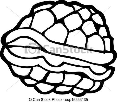 450x392 Turtle Shell Drawing