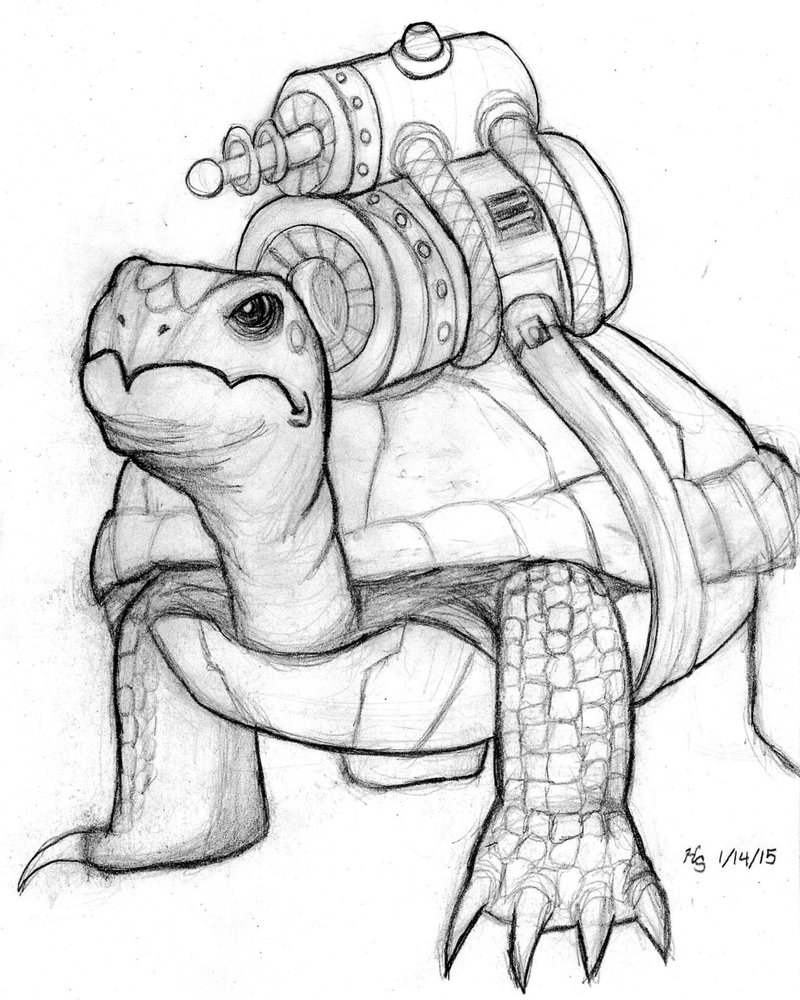 800x1000 Robot Turtle By Air Bourne