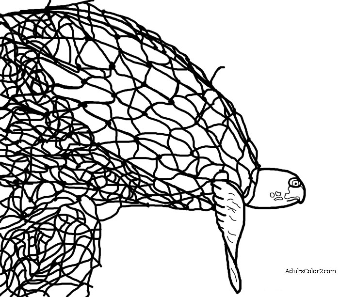 734x613 Sea Turtle Coloring Page Help Hawksbills