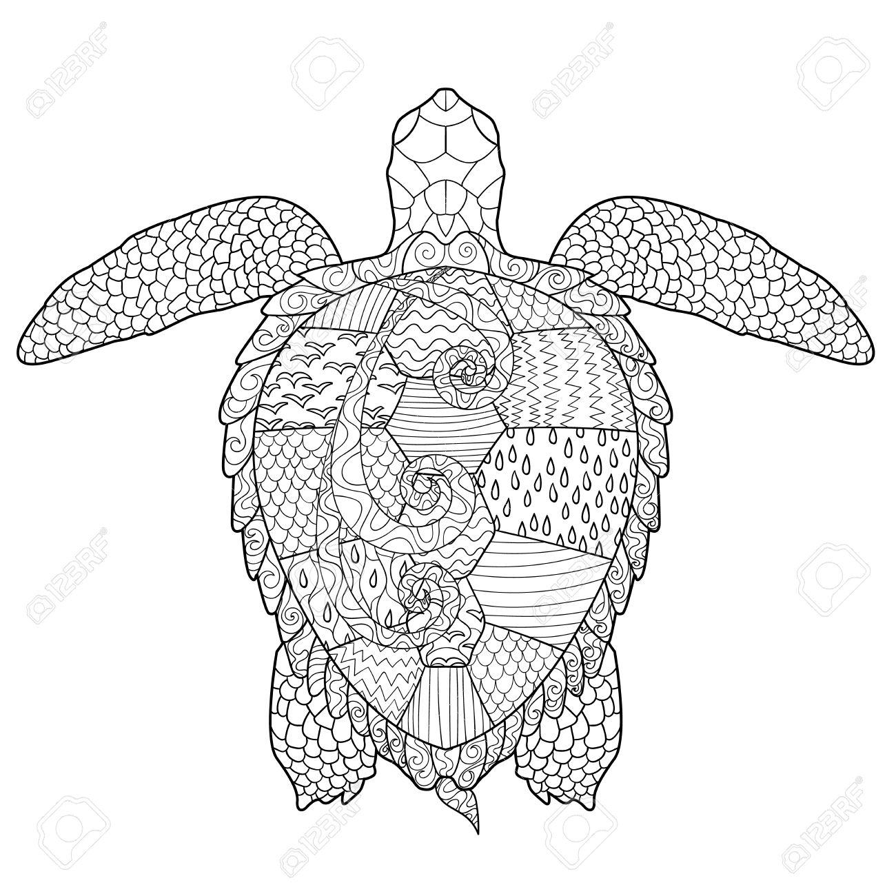 1300x1300 Sea Turtle With High Details. Adult Antistress Coloring Page