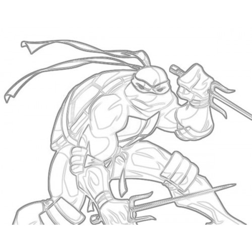 500x500 Turtle 1 Sketch For Canvas Painting