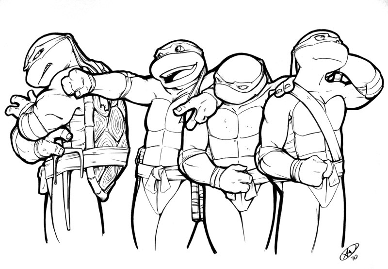 800x554 Turtles Con Sketch By Adamwithers
