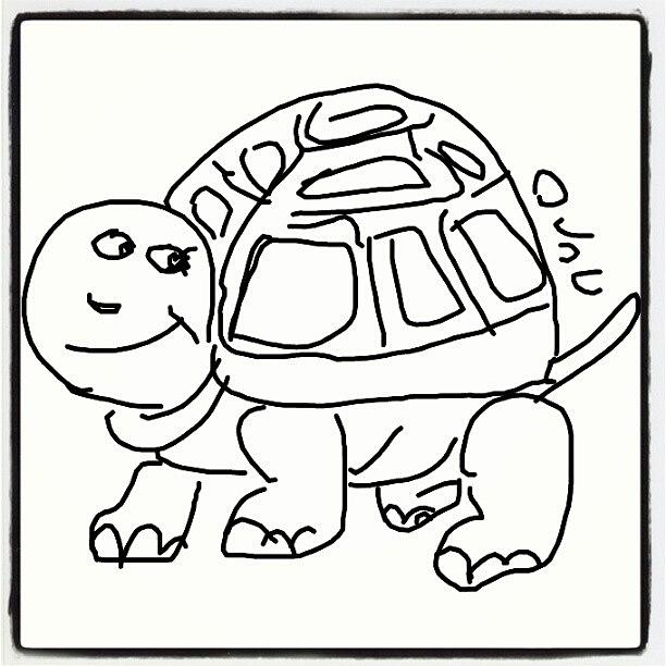612x612 Turtle