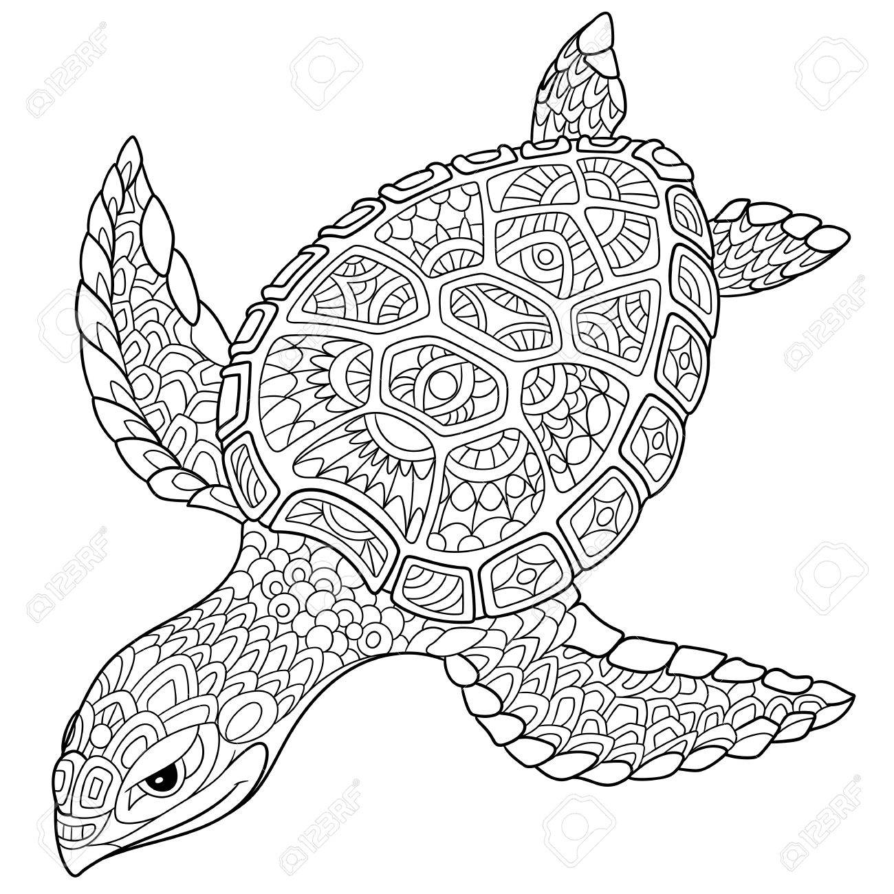 1300x1300 Cartoon Turtle, Isolated On White Background. Hand Drawn Sketch