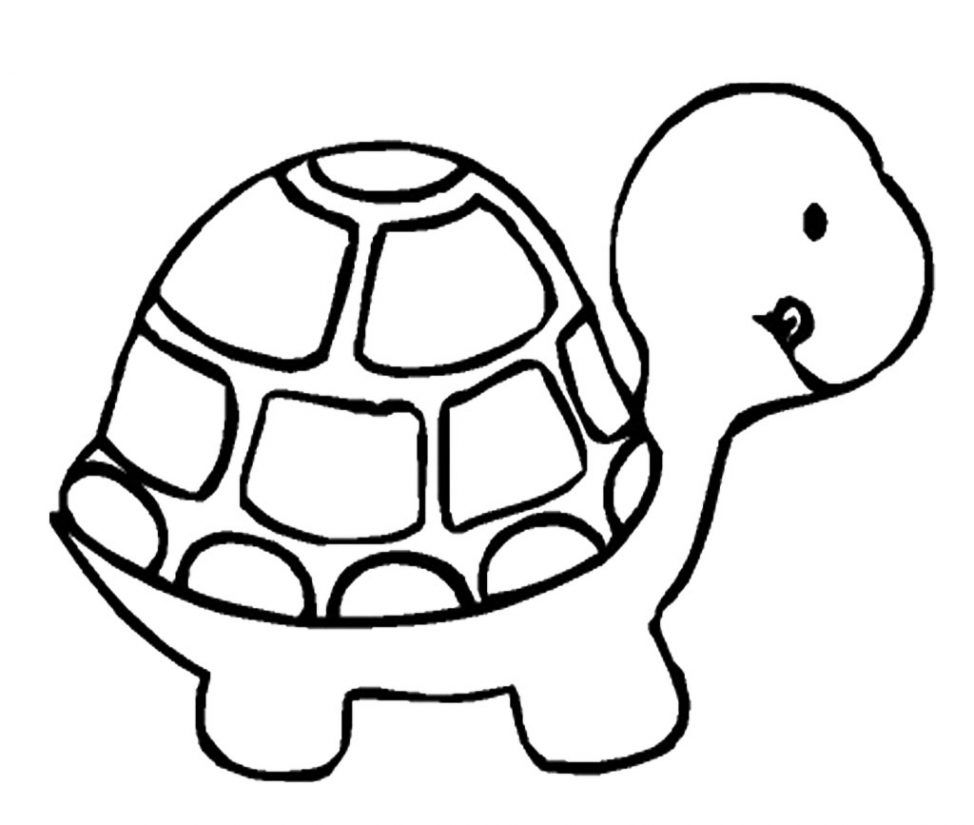 974x825 Coloring Pages Cartoon Turtle Drawing A Of How To Draw