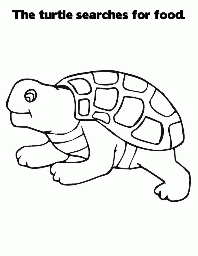 685x886 Tortoise Cartoon Images 296699