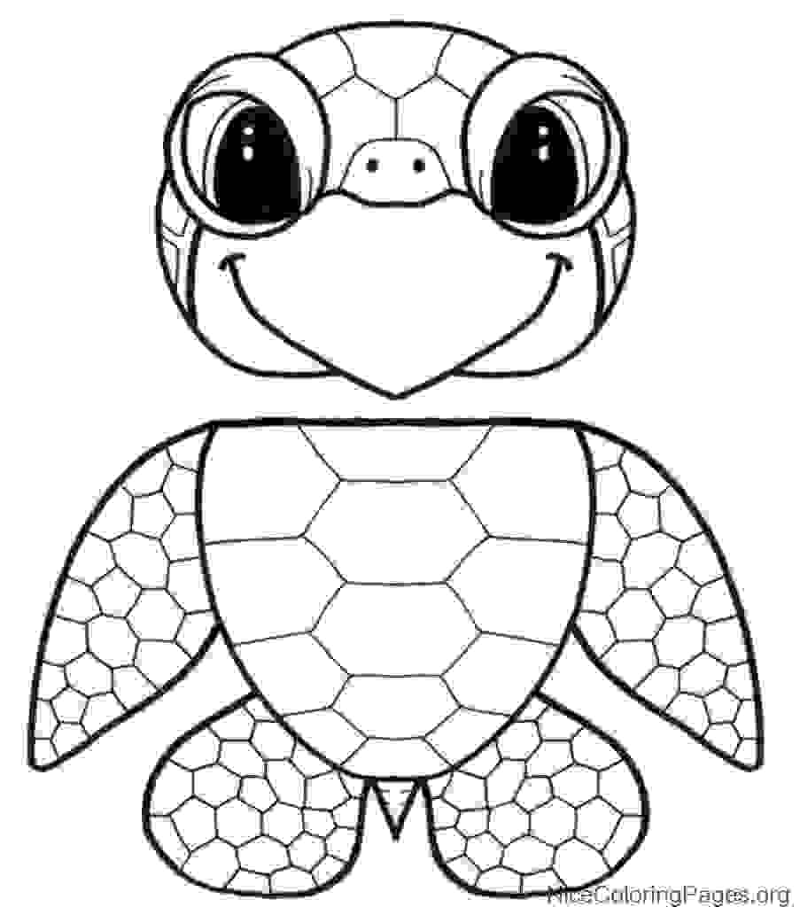 903x1024 How To Draw Turtle Step By Step And Coloring Sheets