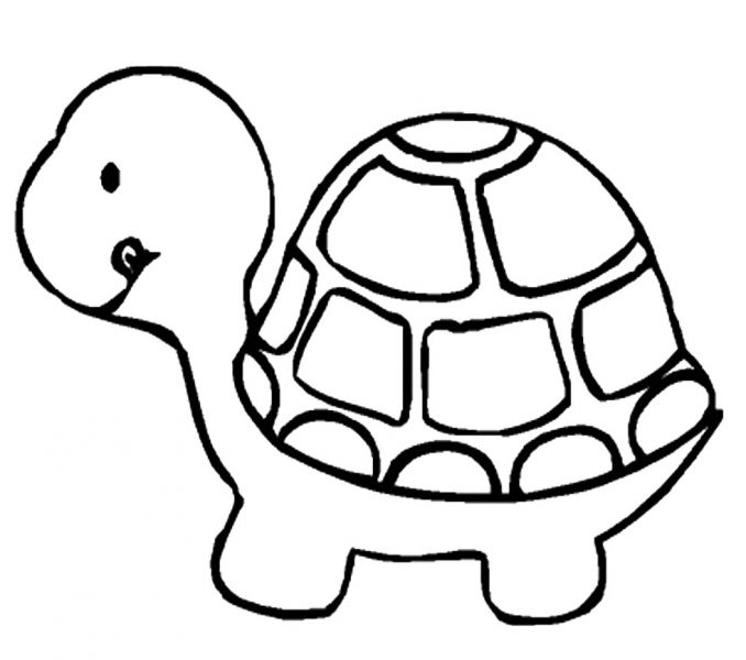 678x600 Turtles To Color. Free Printable Turtle Coloring Pages For Kids
