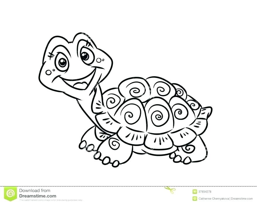 878x696 Coloring Pages Of Turtles Cute Turtle Coloring Pages Page Turtles