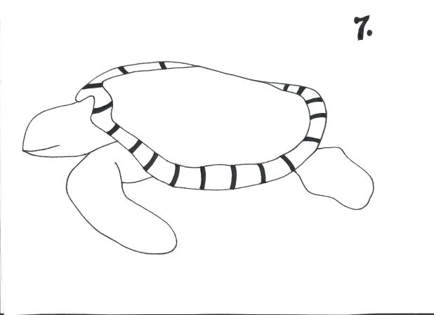 618x449 Coloring Pages Appealing Sea Turtle Outline. Sea Turtle Outline