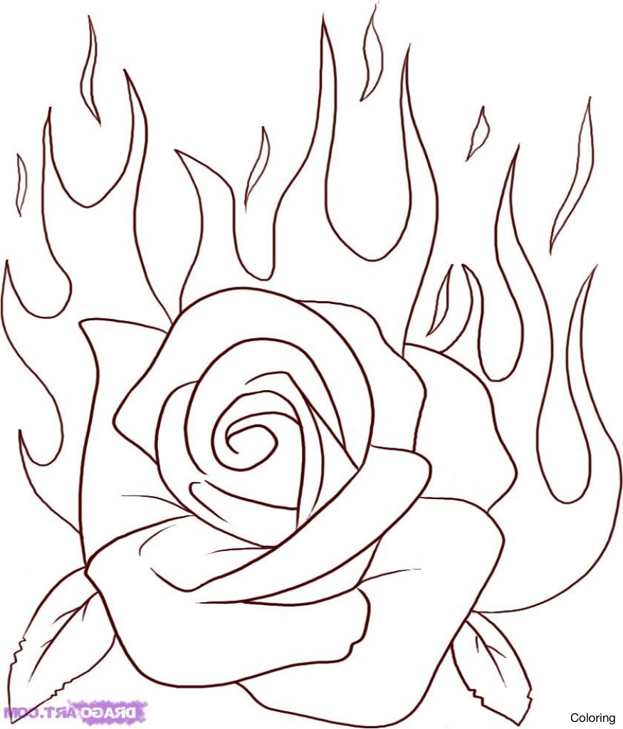 875x1024 Maxresdefault How To Draw Roses Coloring A Rose Easy Open Art