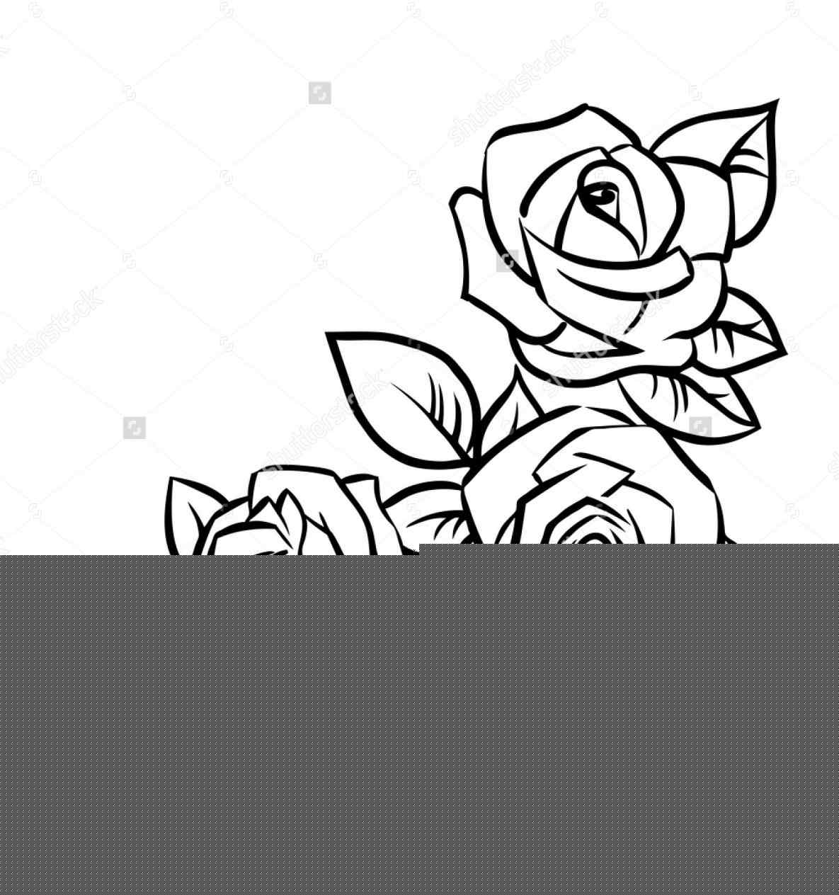 1185x1264 Gallery How To Draw A Rose Youtube,