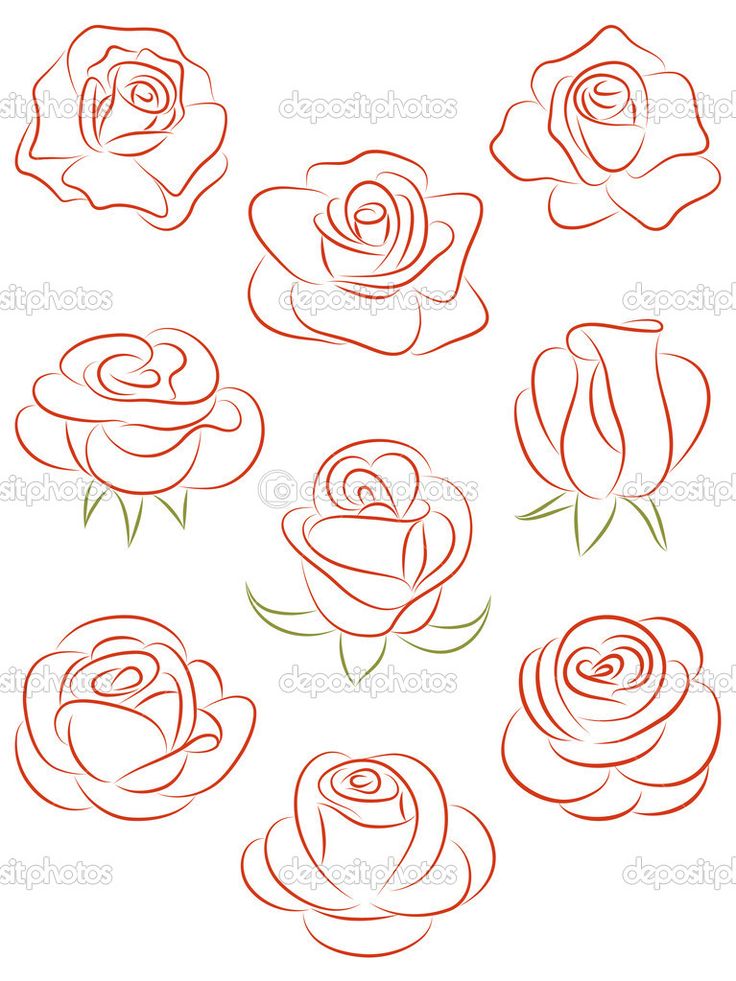 736x981 Gallery Rose Drawing Tutorial,