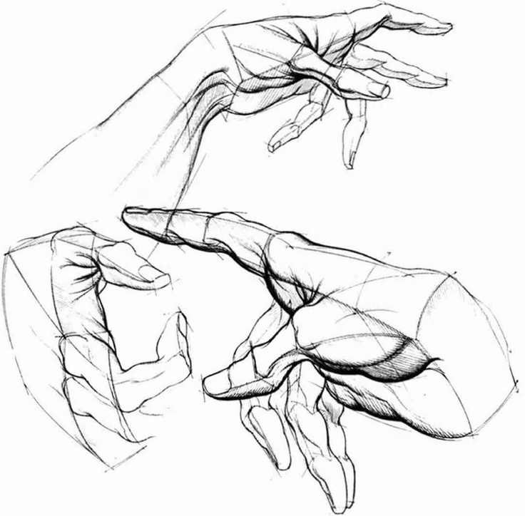 736x724 35 Best Drawing Tutorials Anatomy Images On Drawing