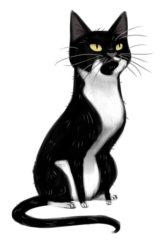 564x846 Daily Cat Drawing Page O' Tards Illustrator Tbd