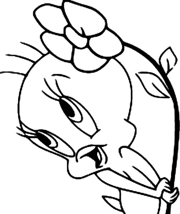 600x714 Coloring Pages Breathtaking Coloring Pages Draw Tweety Bird