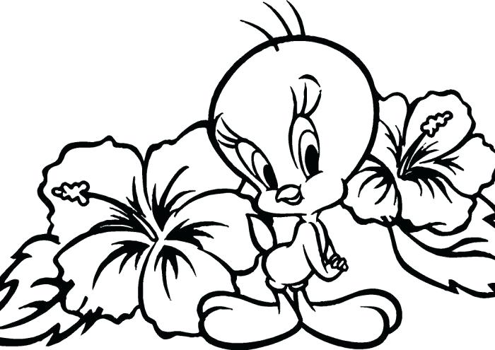 700x495 Tweety Bird Coloring Pages Genesisar.co