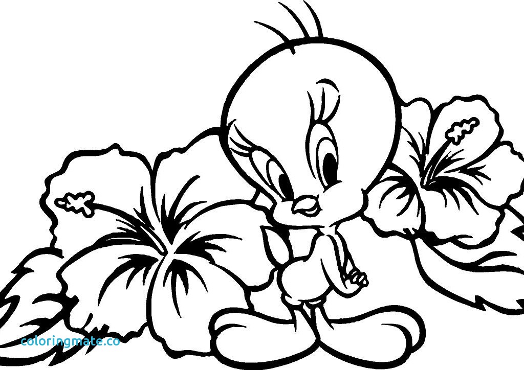 1024x724 Tweety Coloring Pages Unique Tweety Bird Coloring Pages Az