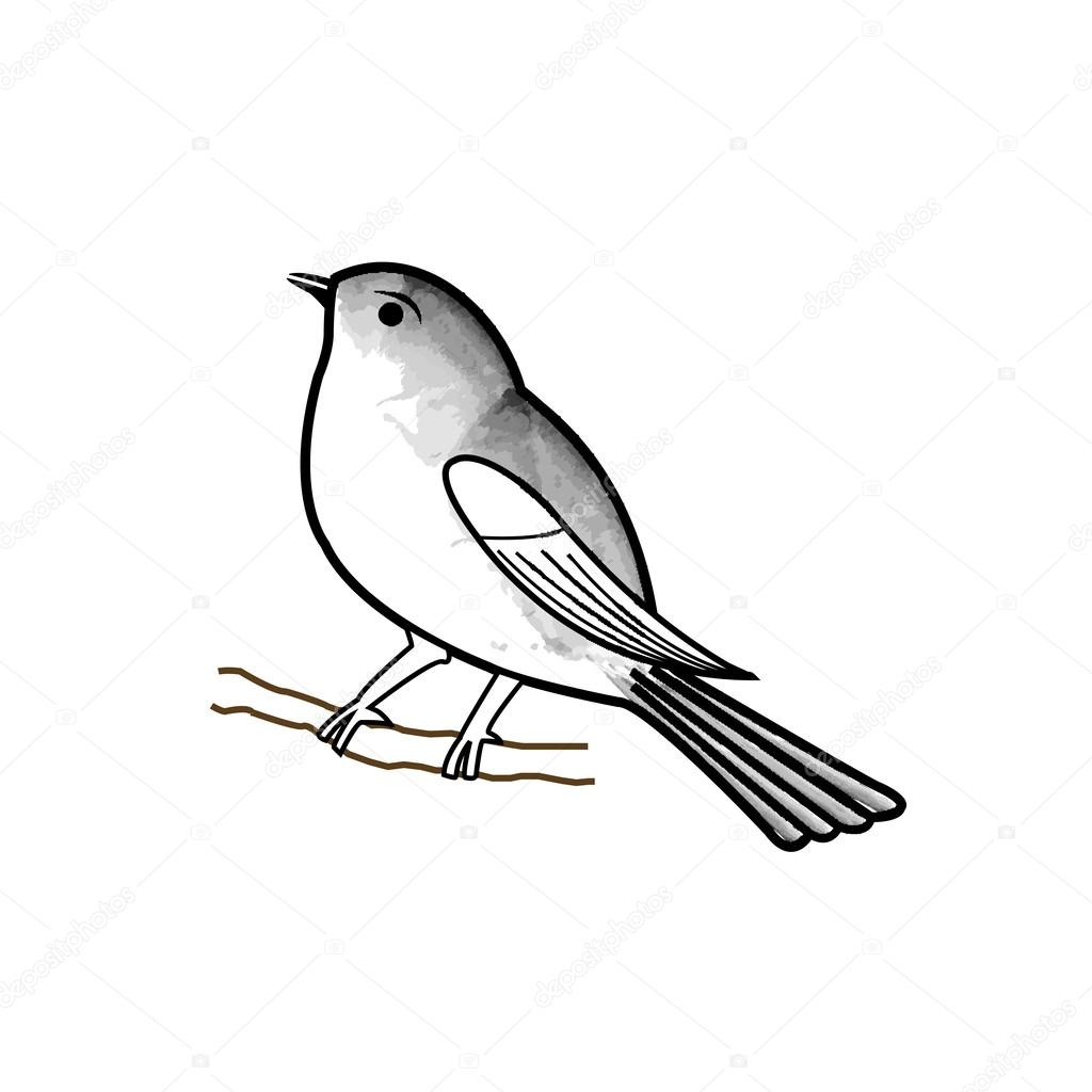 1024x1024 Hand Drawn Bird On A Twig Stock Vector Sanayamirza