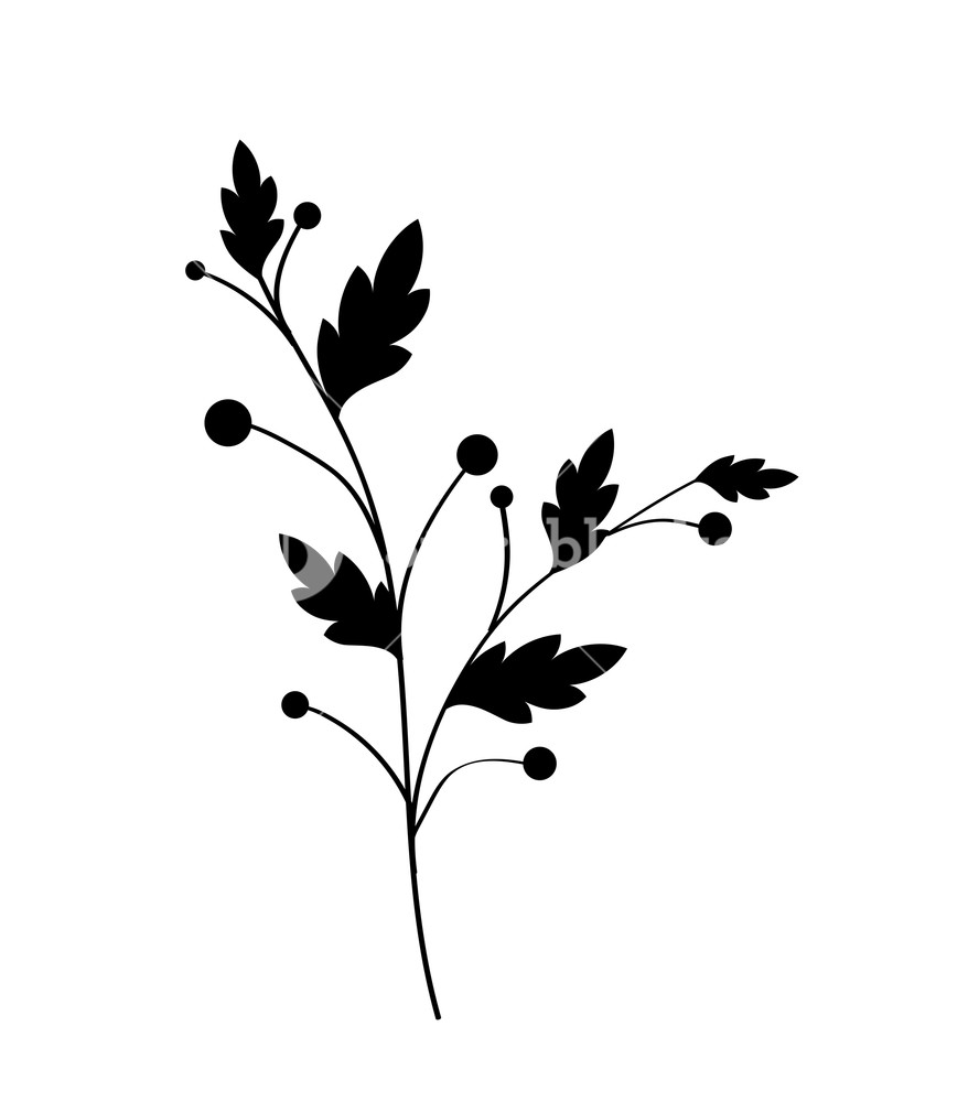 878x1000 Leaves Twig Vector Shape Illustration Royalty Free Stock Image