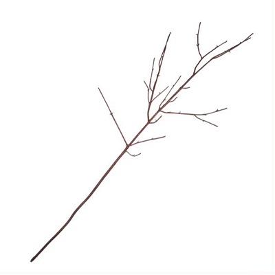 400x400 Twig (@twigfacts) Twitter