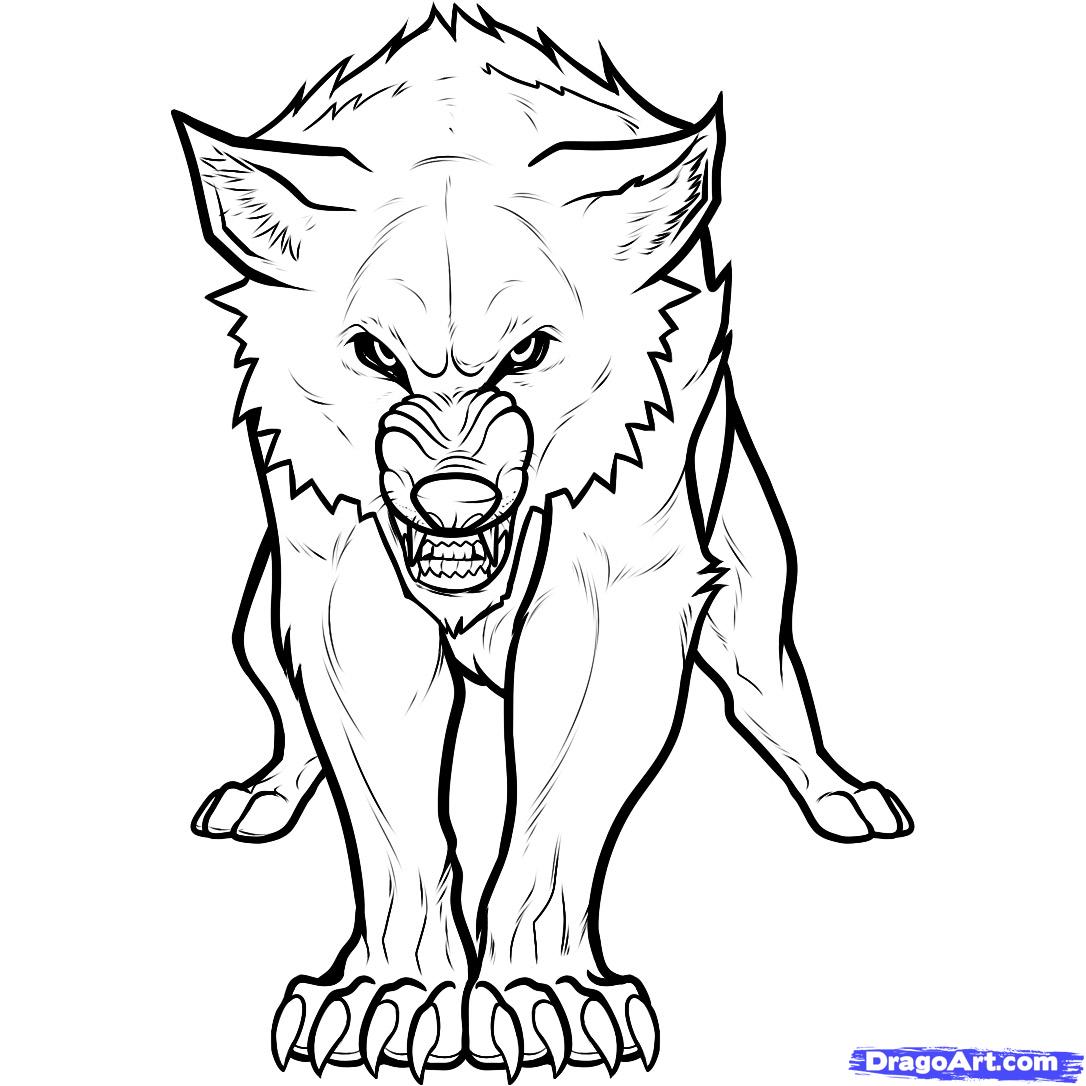 1086x1086 How To Draw A Twilight Wolf, Twilight Wolf, Wolf Jacob Step 9