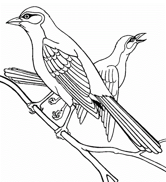 649x709 Two Birds Interesting Coloring Picture For Kids Embroidery