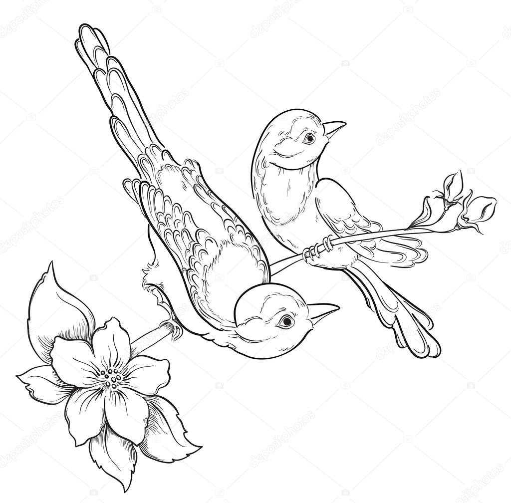 1024x1008 Two Birds Sitting On Blooming Cherry Tree. Vector Illustration