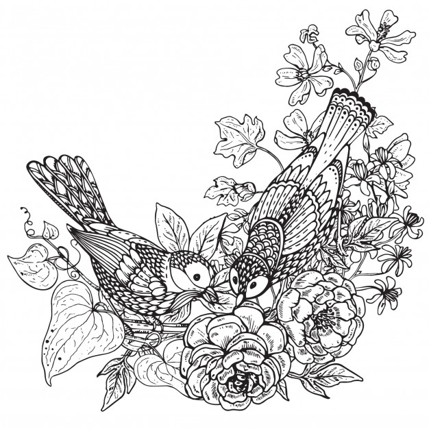 626x626 Illustration Of Two Hand Drawn Graphic Birds And Peony Flowers