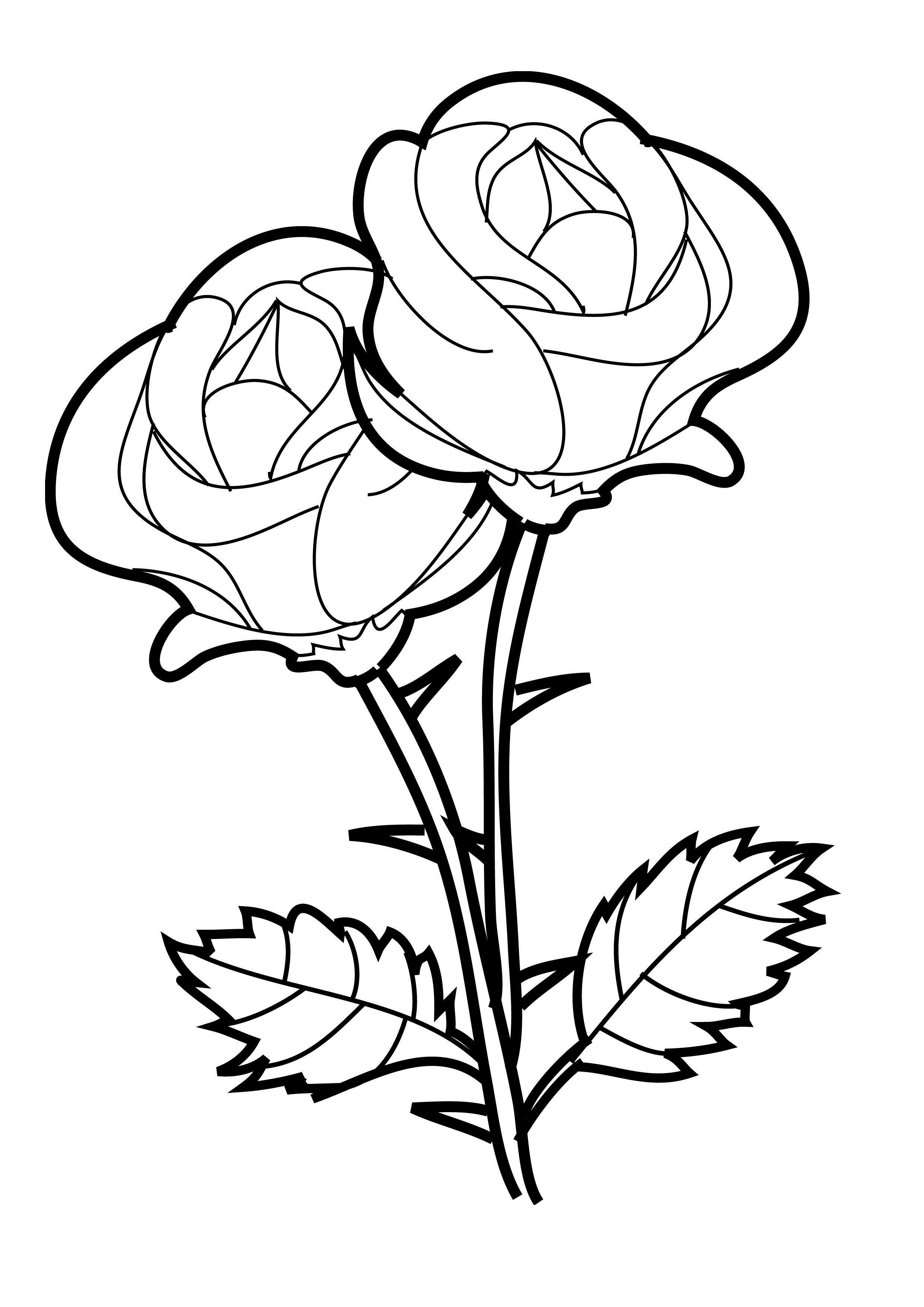 2480x3508 Images Of Roses Coloring Pages Colouring To Fancy Print Paint Rose