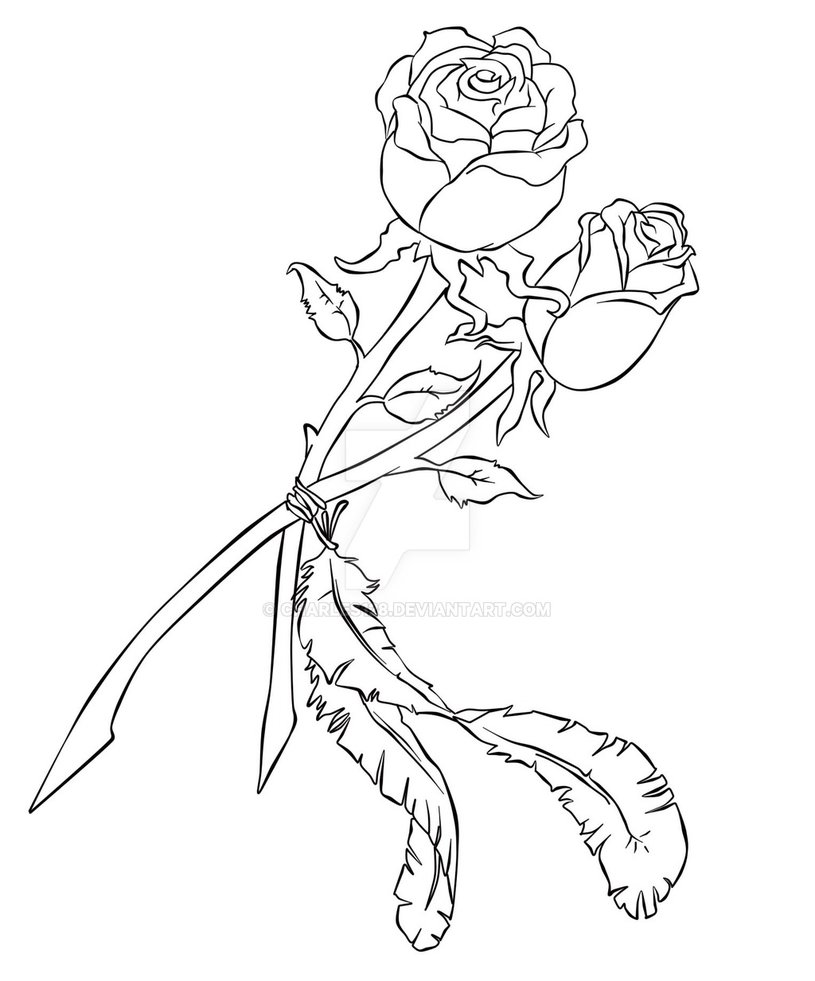 815x981 Two Roses And Two Feathers Tattoo Line Work By Charles128