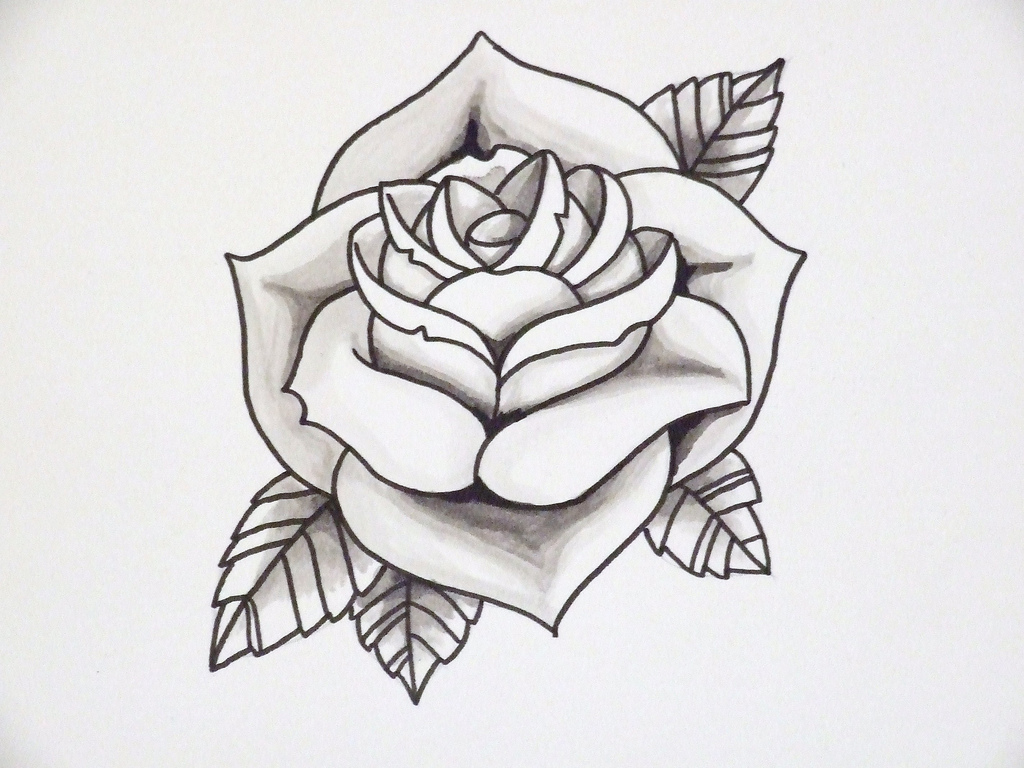 1024x768 Knumathise Realistic Rose Drawing Outline Images