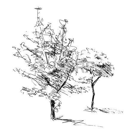 450x450 Sketch Of One Trees. Vector Drawing Illustration Royalty Free