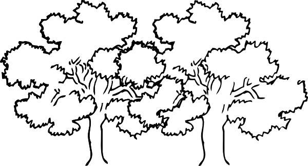 600x323 Two Joined Trees Clip Art