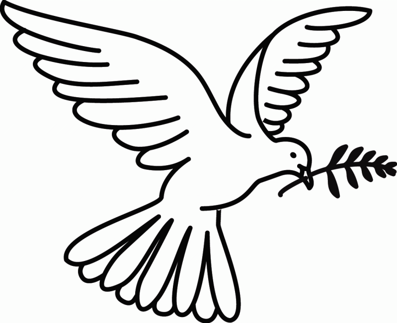 799x651 White Dove Coloring Page