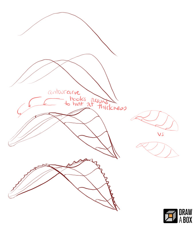 680x788 Lesson 3 Drawing Plants