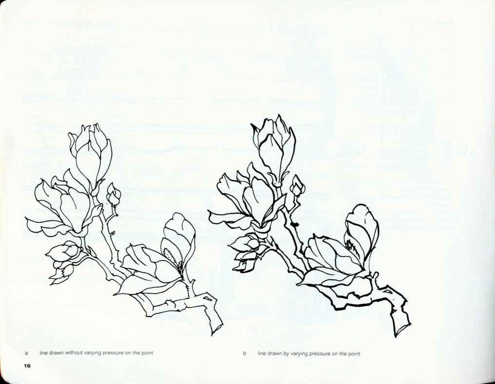 1016x788 Types Of Lines