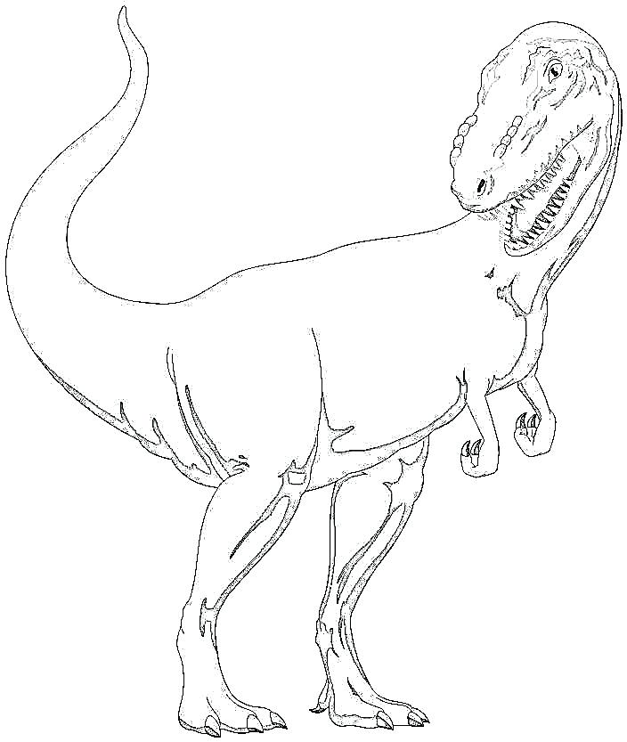 704x833 T Rex Coloring Pages For Preschoolers Dinosaurs Best Coloring