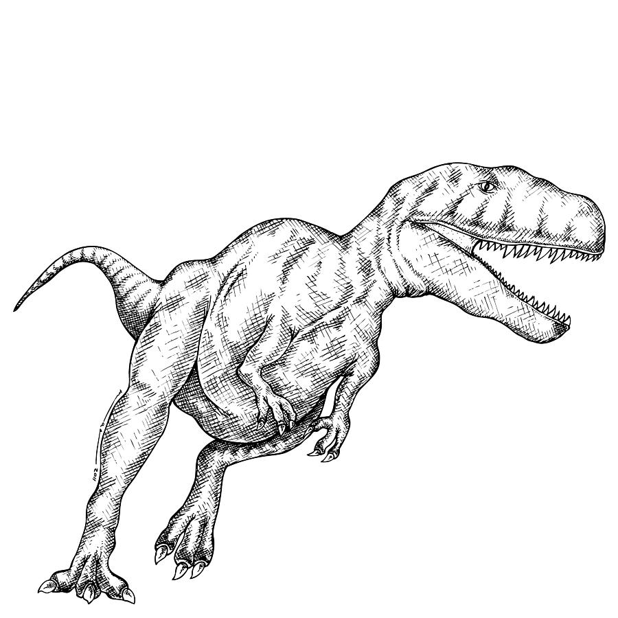 900x900 T Rex Drawings Fine Art America