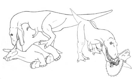 444x263 New Research Into The Feeding Habits Of Tyrannosaurus Rex