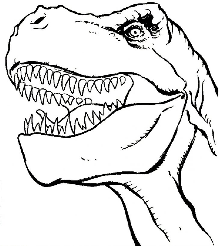 728x819 T Rex Coloring Page