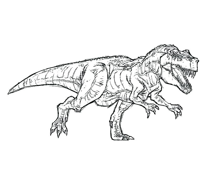 800x667 T Rex Coloring Page Tyrannosaurus Coloring Page Pics Of Park