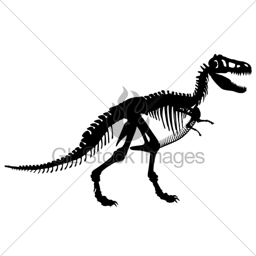 500x500 T Rex Skeleton Gl Stock Images