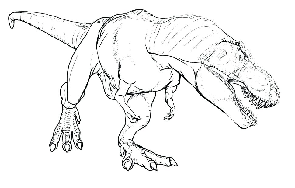 970x618 Tyrannosaurus Rex Coloring Page
