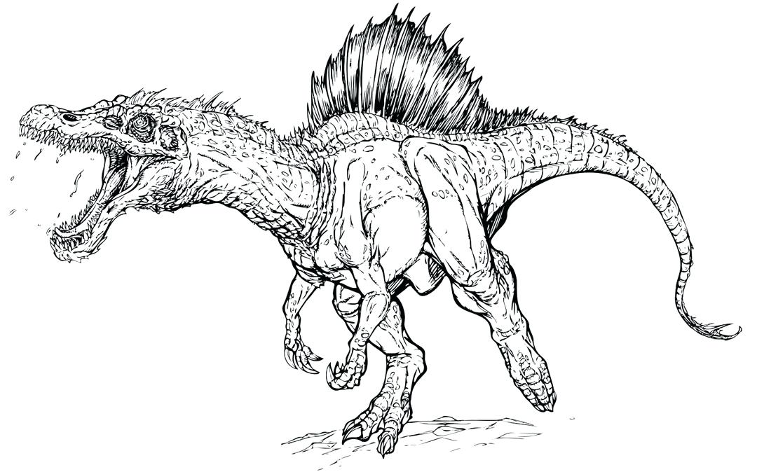 1080x674 Here Are T Rex Coloring Page Images Park T Coloring Pages For Kids