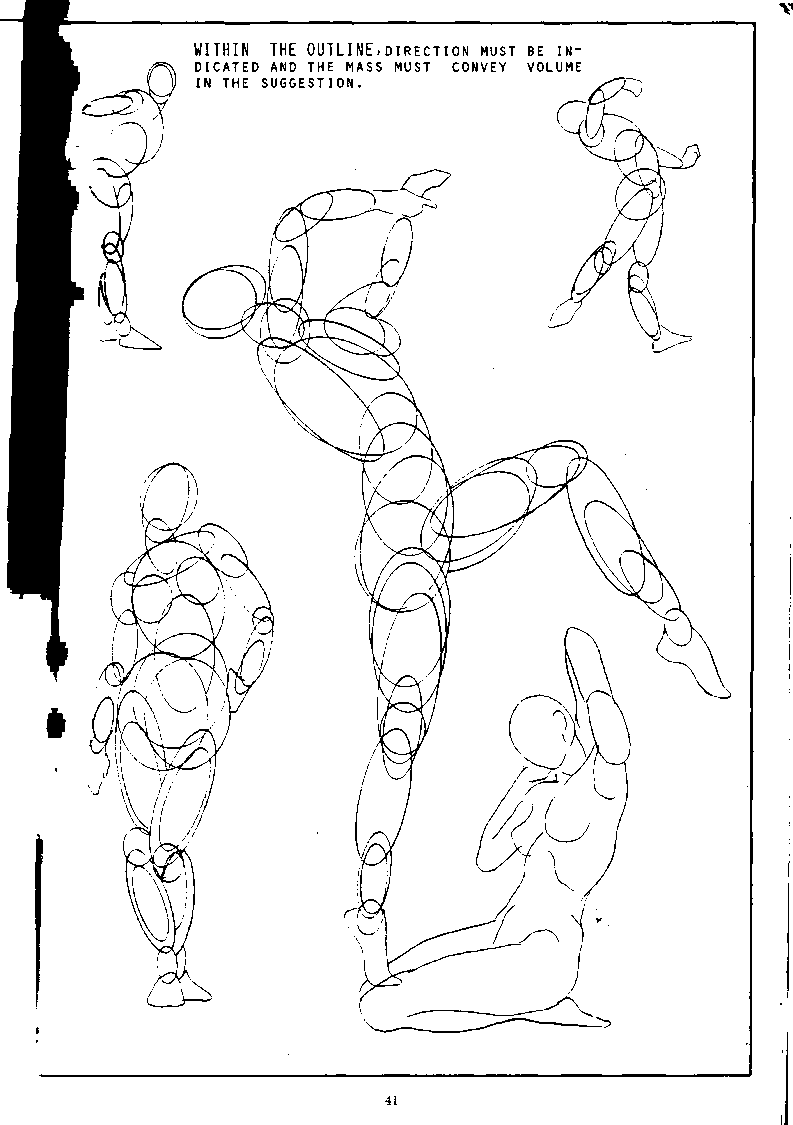 793x1125 Good Understanding Of Anatomyis Essential