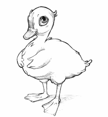 216x233 General Builder In Bath