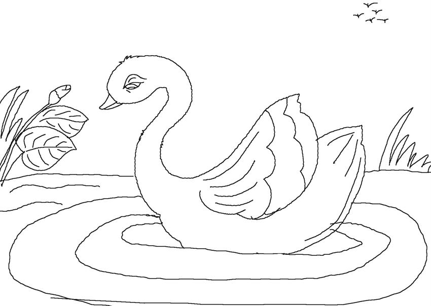 Ugly Duckling Drawing at GetDrawings | Free download